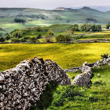 Отель Falcon Manor