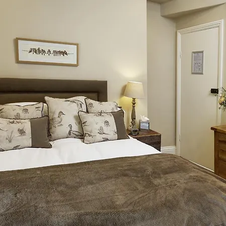فندق Falcon Manor 4*